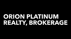 Orion Platinum